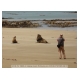 143_Sea Lions.jpg